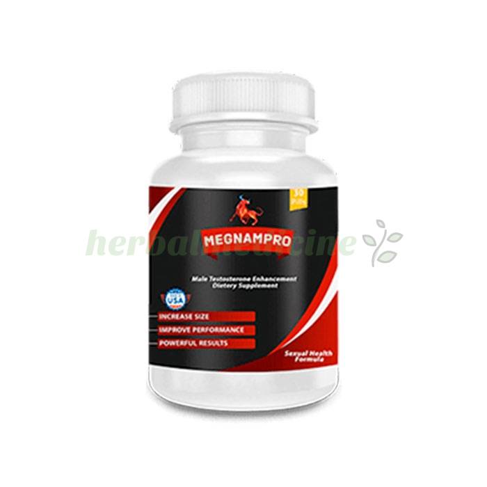 ‣ Megnampro ইউলিঙ্গ বড় করার টুলsch